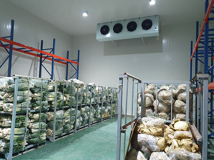 Cold room for agricultural products